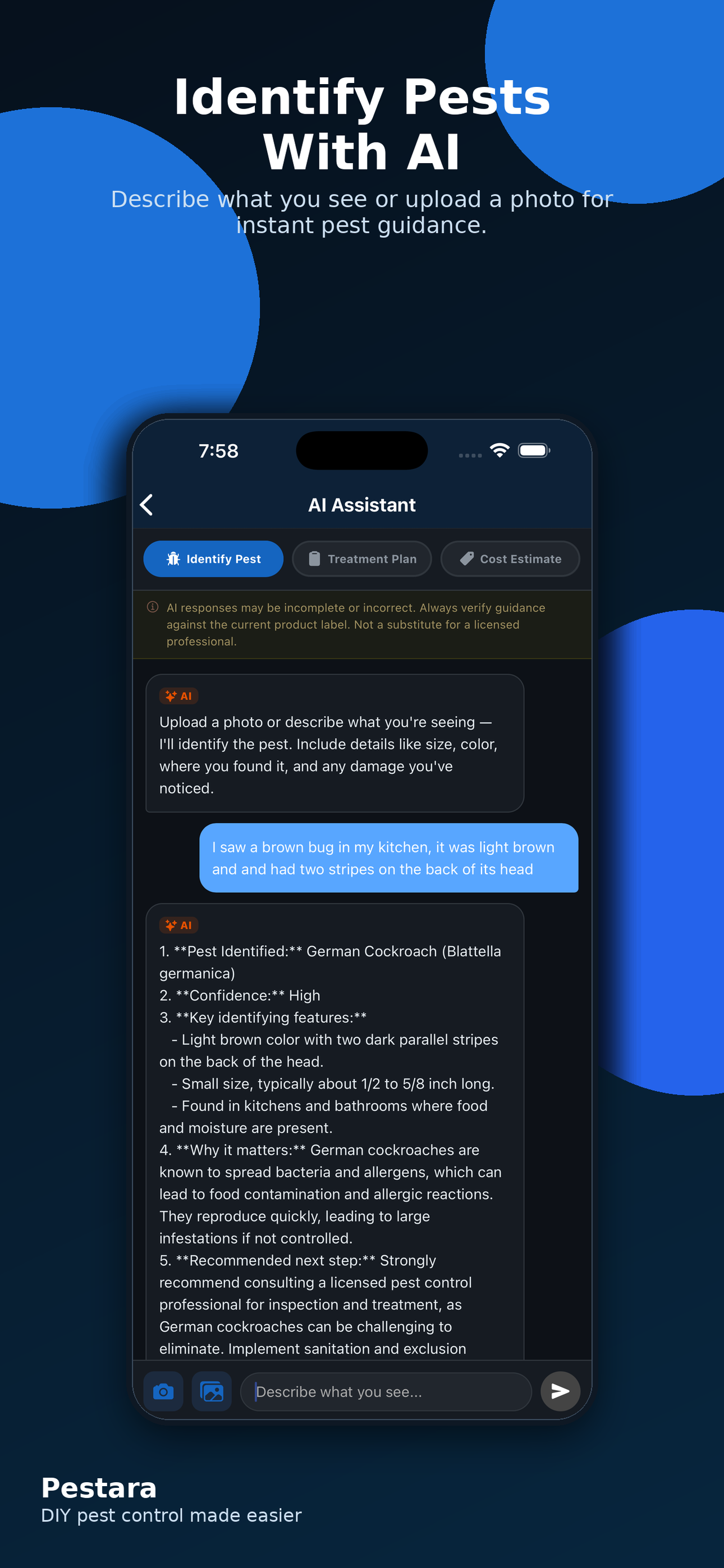 Pestara Screenshot 1