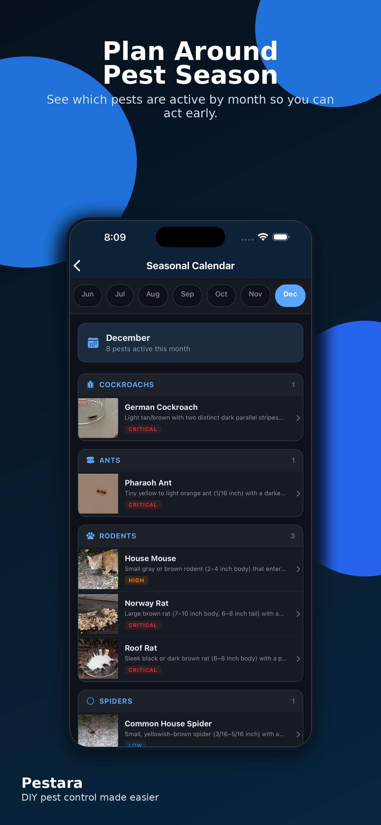 Pestara Screenshot 5